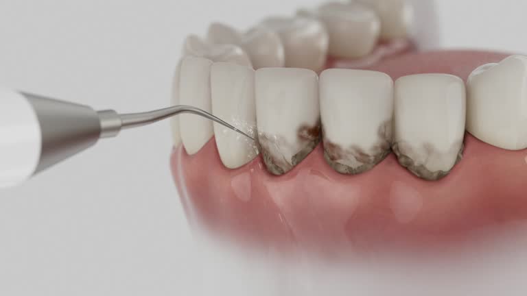 Reliable Dental contractor in Winnebago, IL by Dentist Open Now